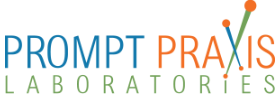 Prompt Praxis Laboratories