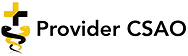 Provider CSAO
