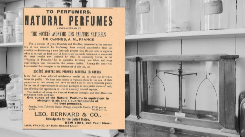 Vintage Leo. Bernard & Co., Ad (ca. 1892): A vintage Leo. Bernard & Co., Natural Perfumes Ad from The Druggists Circular and Chemical Gazette