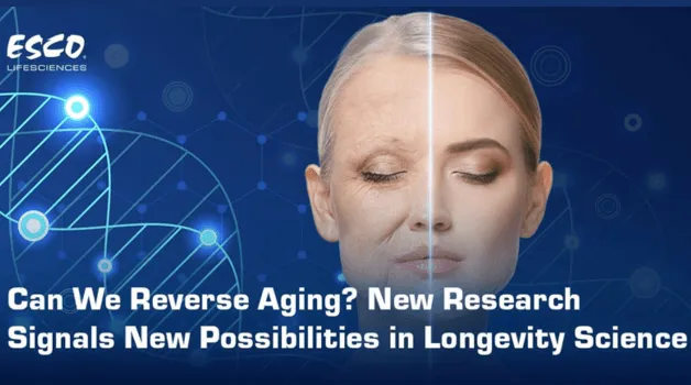 Can We Reverse Aging? New Research Signals New Possibilities in Longevity Science