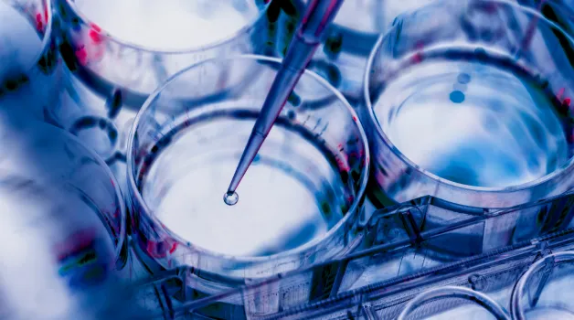 Whitepaper | Organoids: Miniature Models Advancing Research and Medicine