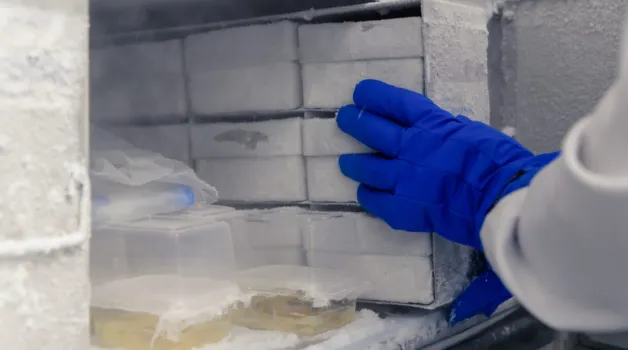 ULT Freezer Maintenance: Tips and Techniques for Ultra-Low Storage