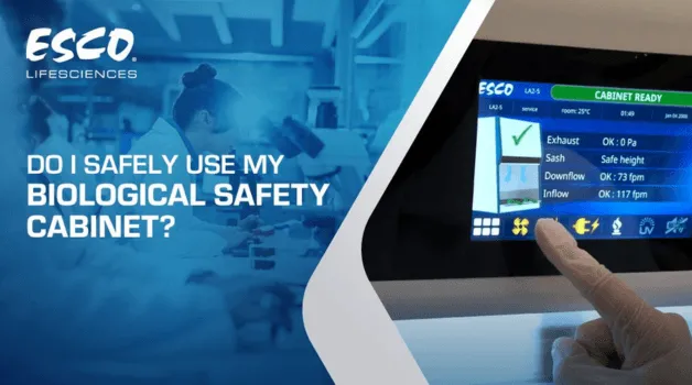 Safe Use of Biological Safety Cabinet