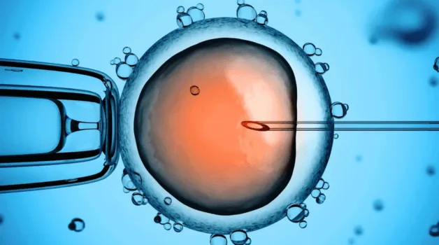 Why IVF Labs Need Environmental Monitoring Systems to Protect Patients and Compliance