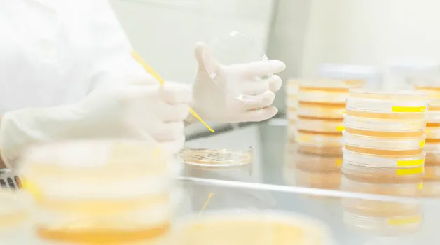 A 90-Day USP <797> Tune-Up Plan: Practical Steps, Real Results