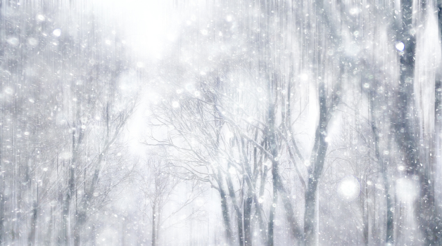 The Truth About Winter Immunity