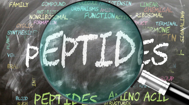 Why Peptides Are Back in the News