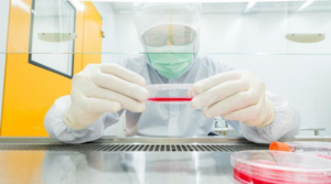 From ‘What is it?’ to ‘What does it mean?’