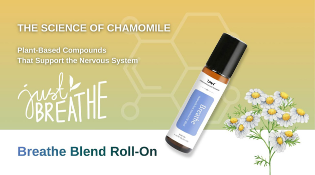 The Science of Chamomile: Plant-Based Compounds That Support the Nervous System