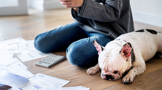 Your Personal Financial Statement (PFS) Isn’t a Trap. It’s a Ticket