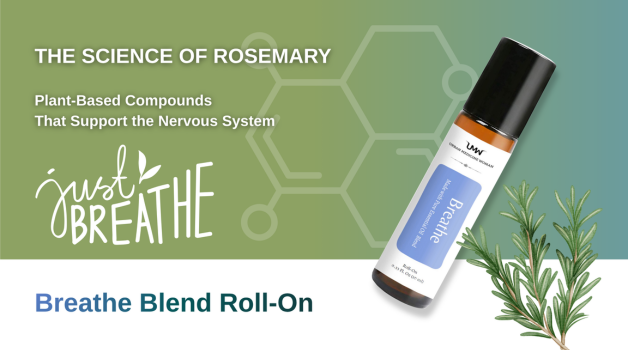 The Science of Rosemary: Plant-Based Compounds That Support Clearer Breathing