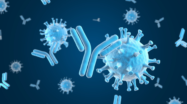Understanding Immunoglobulin Therapy: What Providers Need to Know